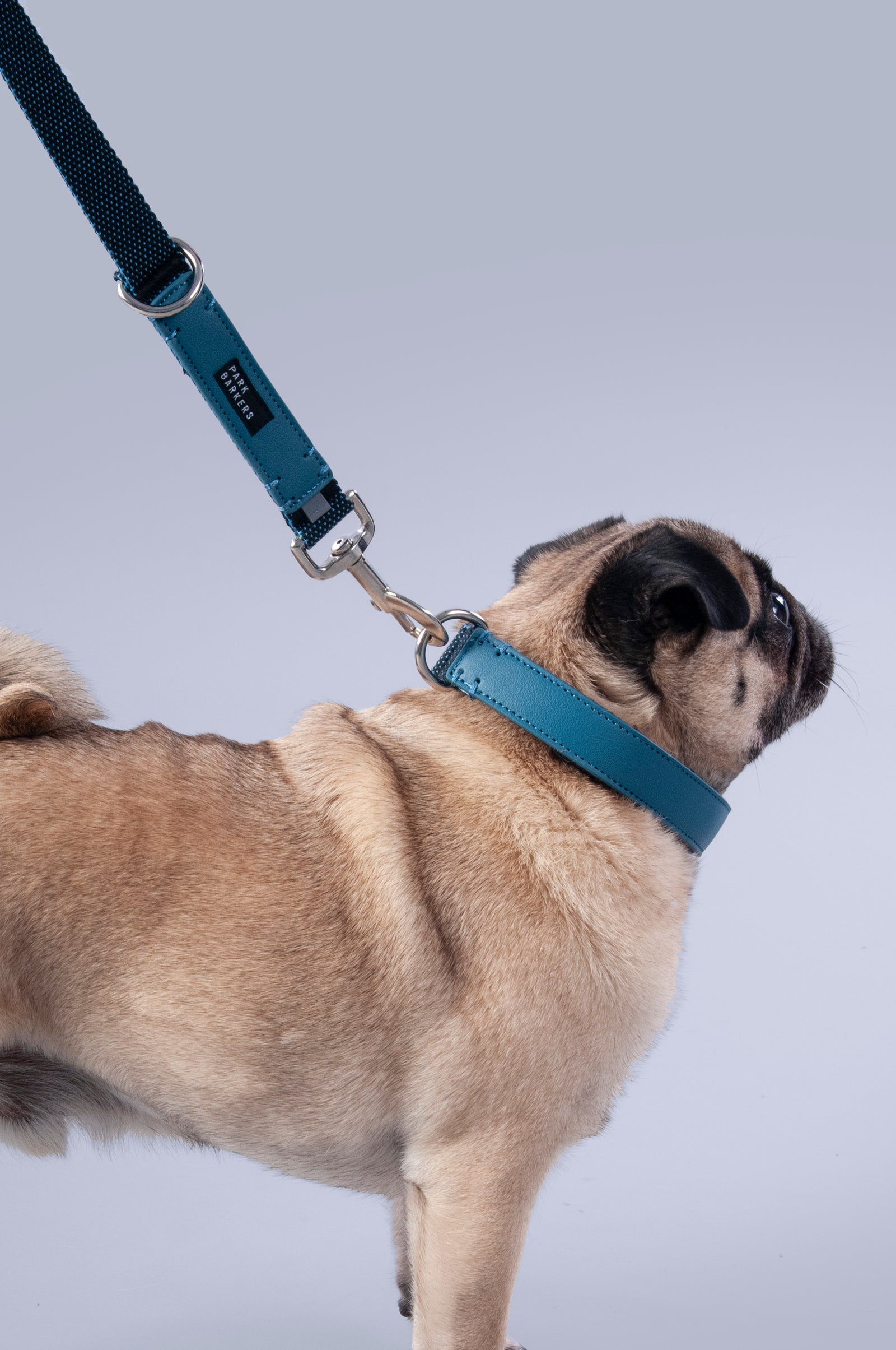 The Hyde Lead - Blue