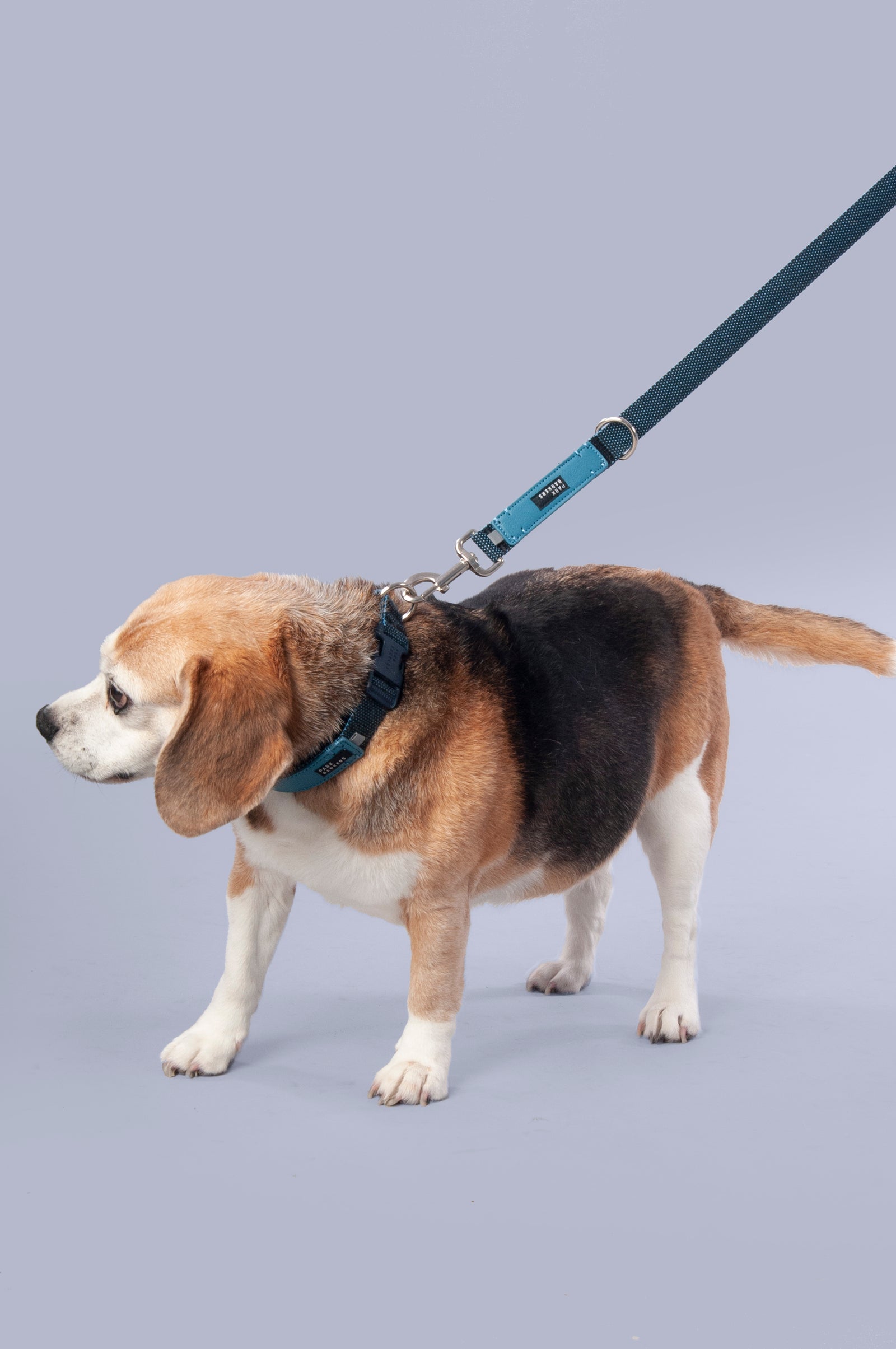 The Hyde Lead - Blue